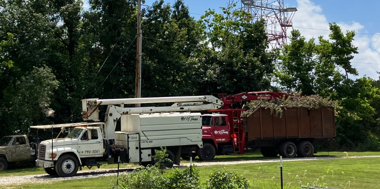 Only Trees Inc white bucket truck and red grapple truck working together on a job site