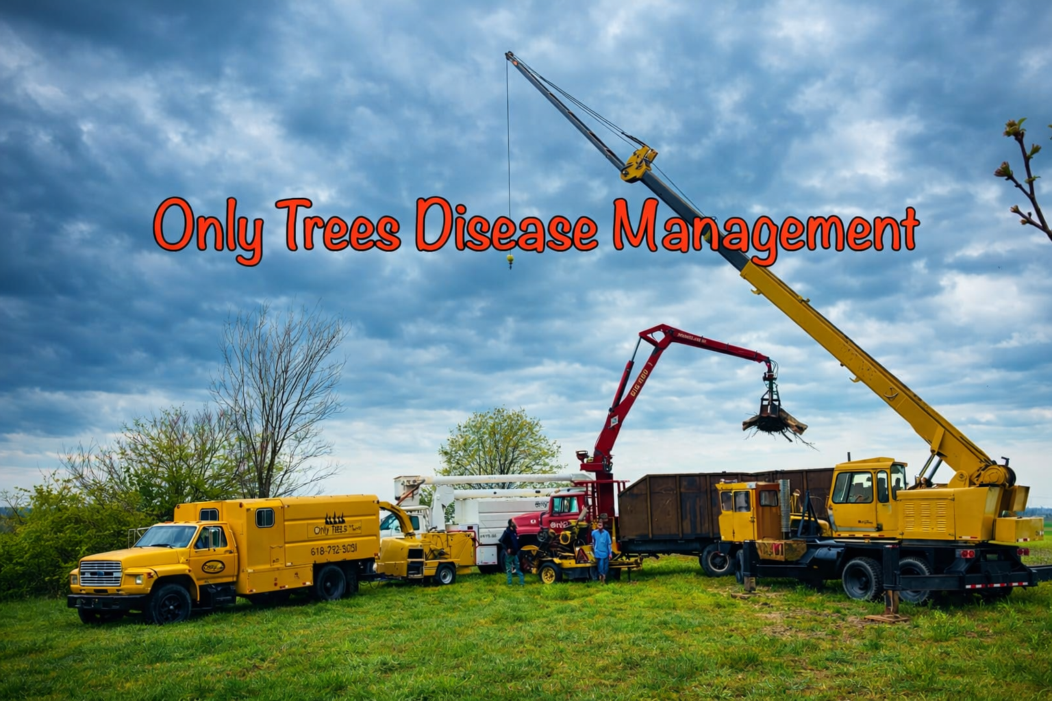 Only Trees Inc full fleet — branded yellow truck, bucket truck, wood chipper, and crane crane on a job site
