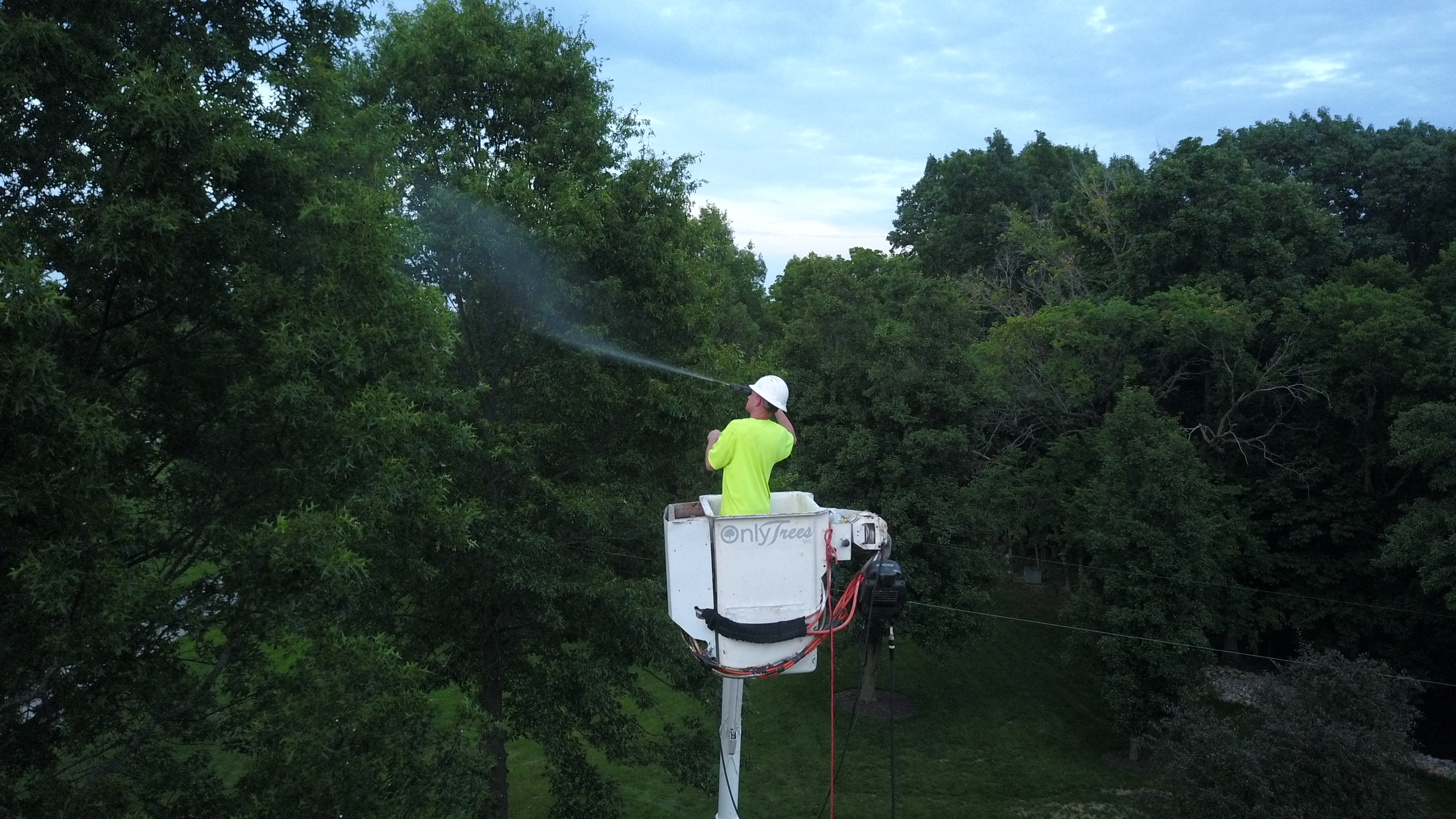 Top-down aerial drone view of Only Trees bucket truck operator spraying tree canopy with chipper and truck visible below on residential lawn